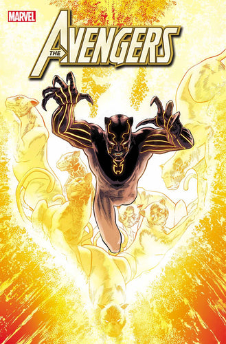 AVENGERS #38 B AARON KUDER BLACK PANTHER PHOENIX VARIANT (11/04/2020) MARVEL