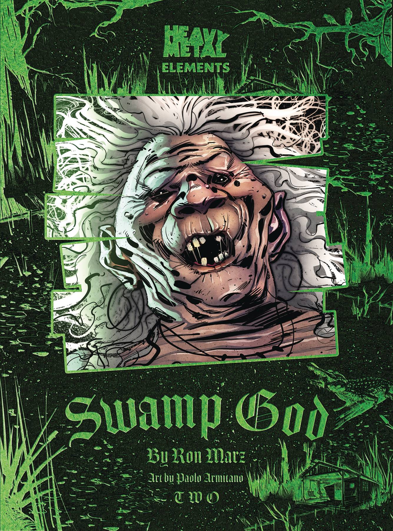 SWAMP GOD #2 (OF 6) (MR)